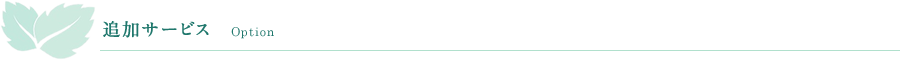 追加サービス